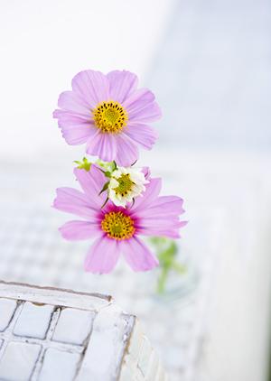 東京都新宿にあるタカラスタンダード新宿ショールームの詳細と見どころ