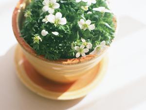 きっとお気に入りの時計が見つかる専門店