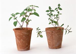 埼玉県さいたま市にあるタカラスタンダードのショールーム徹底解説：商品展示から店舗の特徴まで