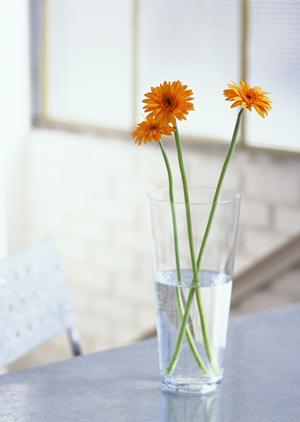 千葉県稲毛区にあるタカラスタンダード千葉ショールームの完全ガイド：特徴・アクセス・見どころ